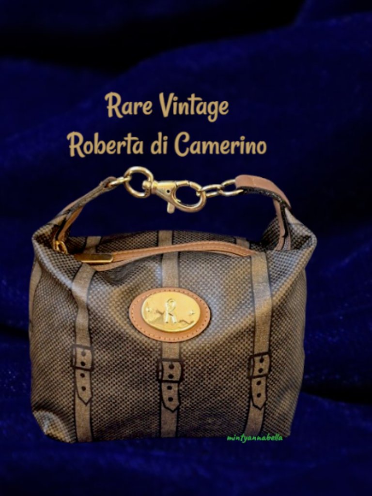 Roberta Di Camerino Rare Vintage Pouch Bag